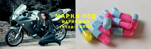 стафф Аркадак