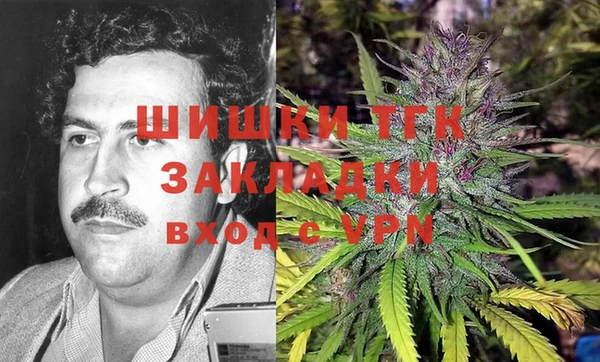 стафф Аркадак