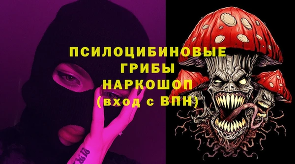 тгк Новозыбков