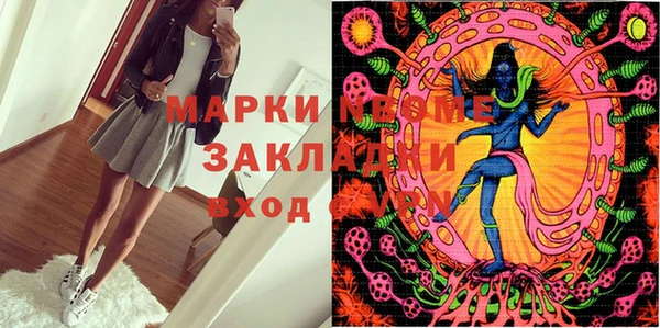 стафф Аркадак